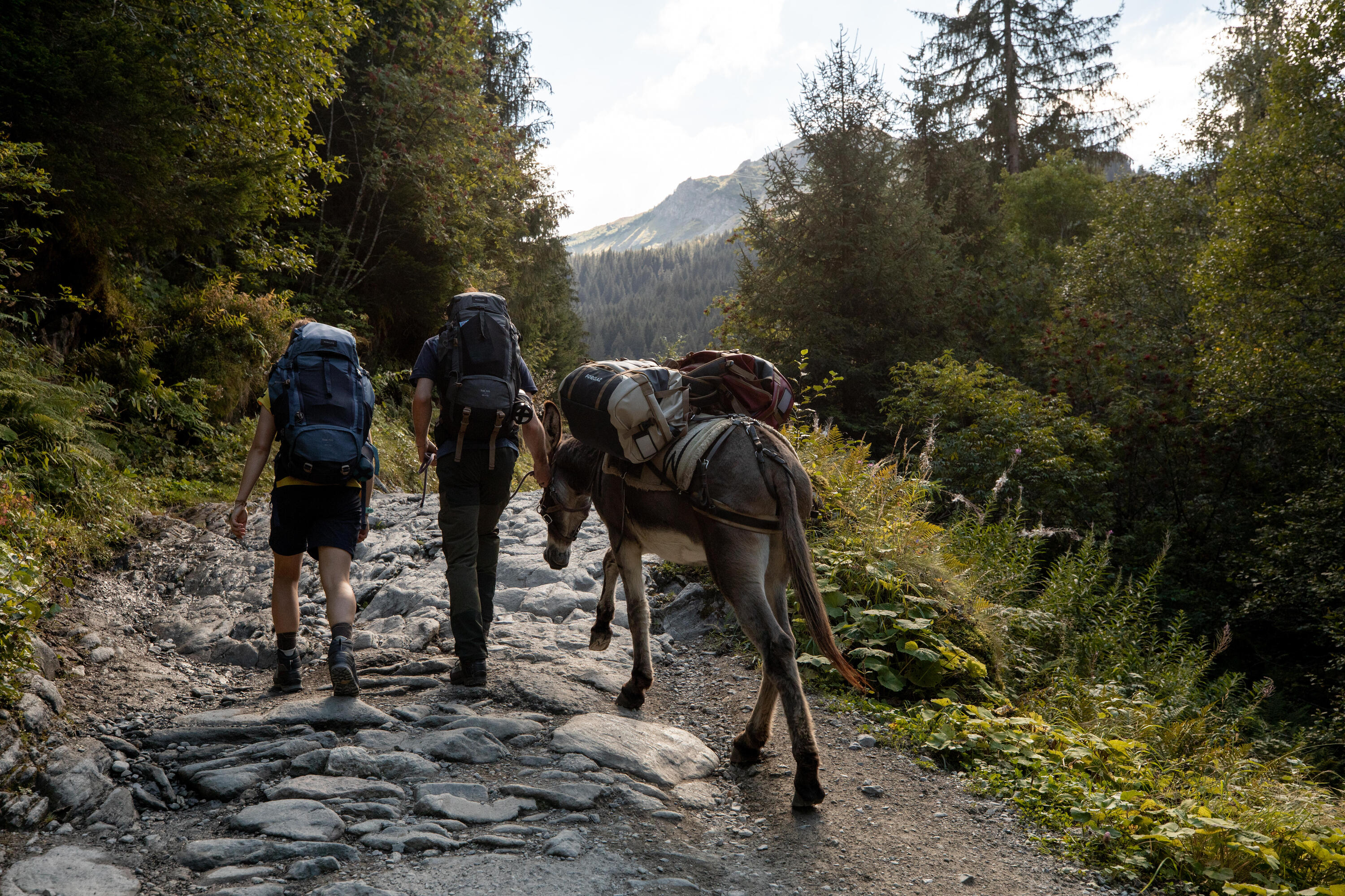 Simond Women's MT500 2-in-1 Modular Hiking Pants