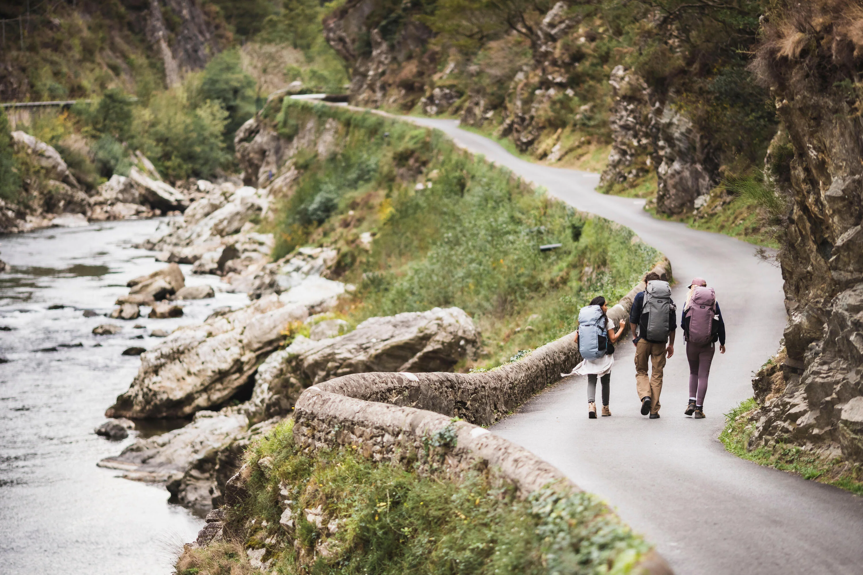 Forclaz Men's Travel 900 70+6L Backpacking Pack