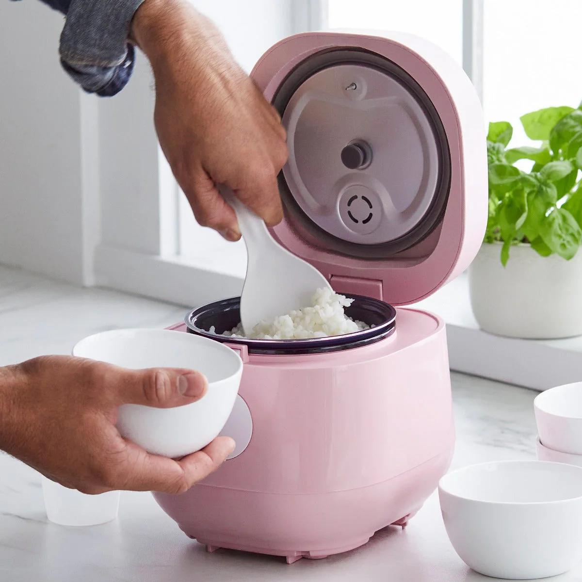 GreenLife 4-Cup Rice & Grains Cooker | Pink