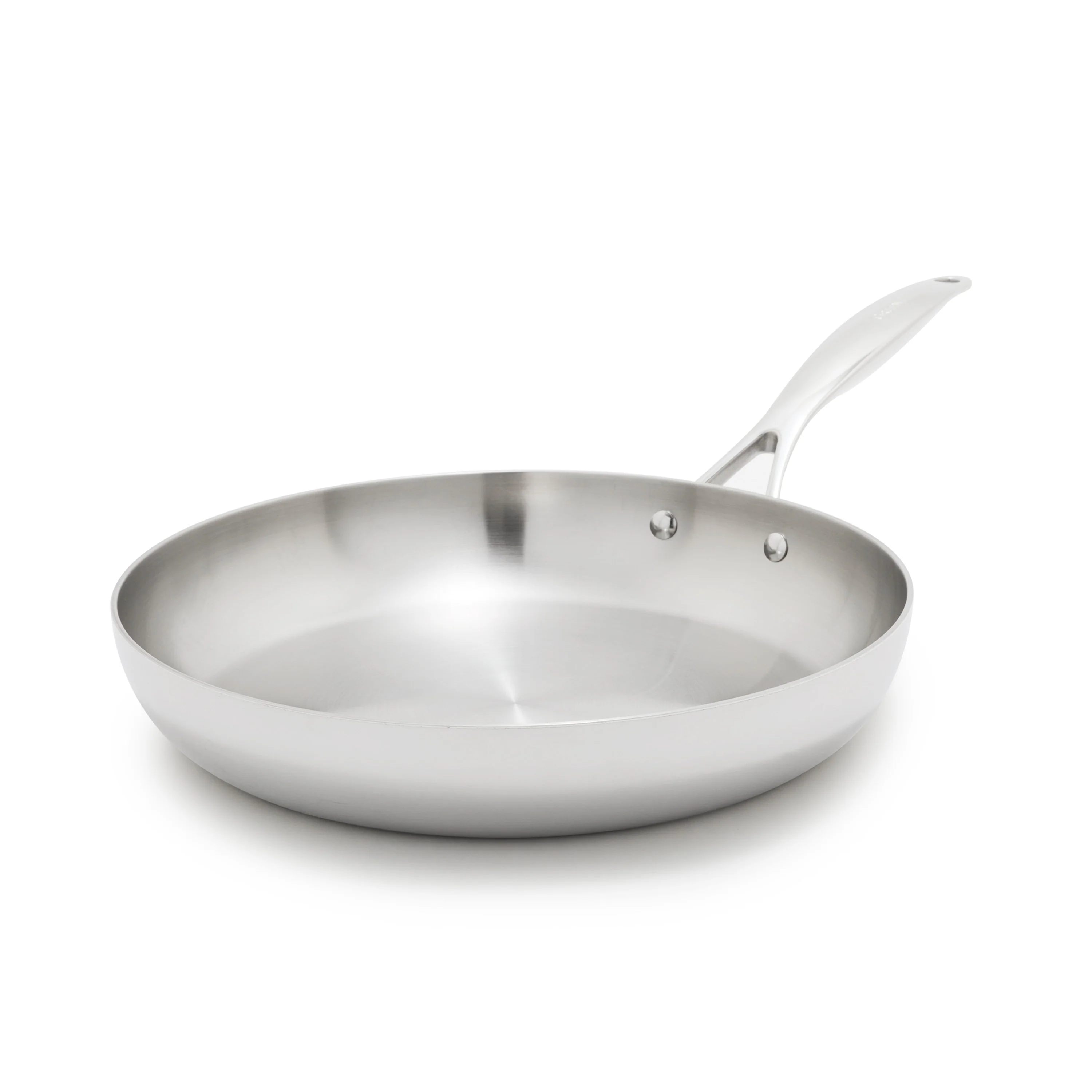 Valencia Pro Stainless Steel Uncoated 12 Frypan