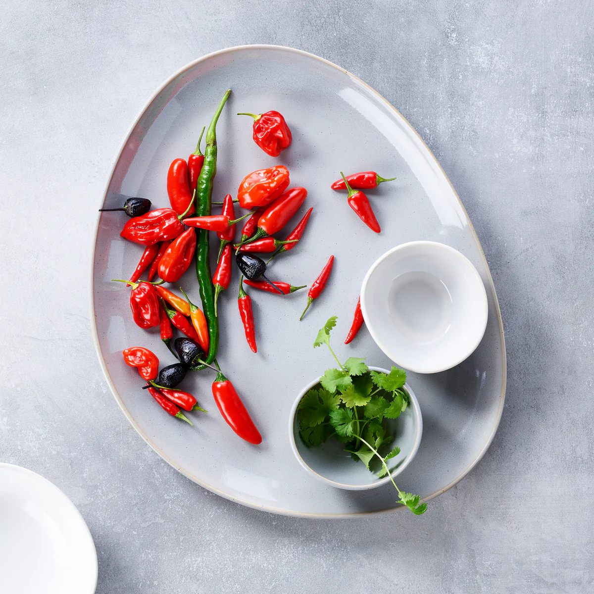 Keltum Glazed Stoneware 15 Serving Plate | Gray