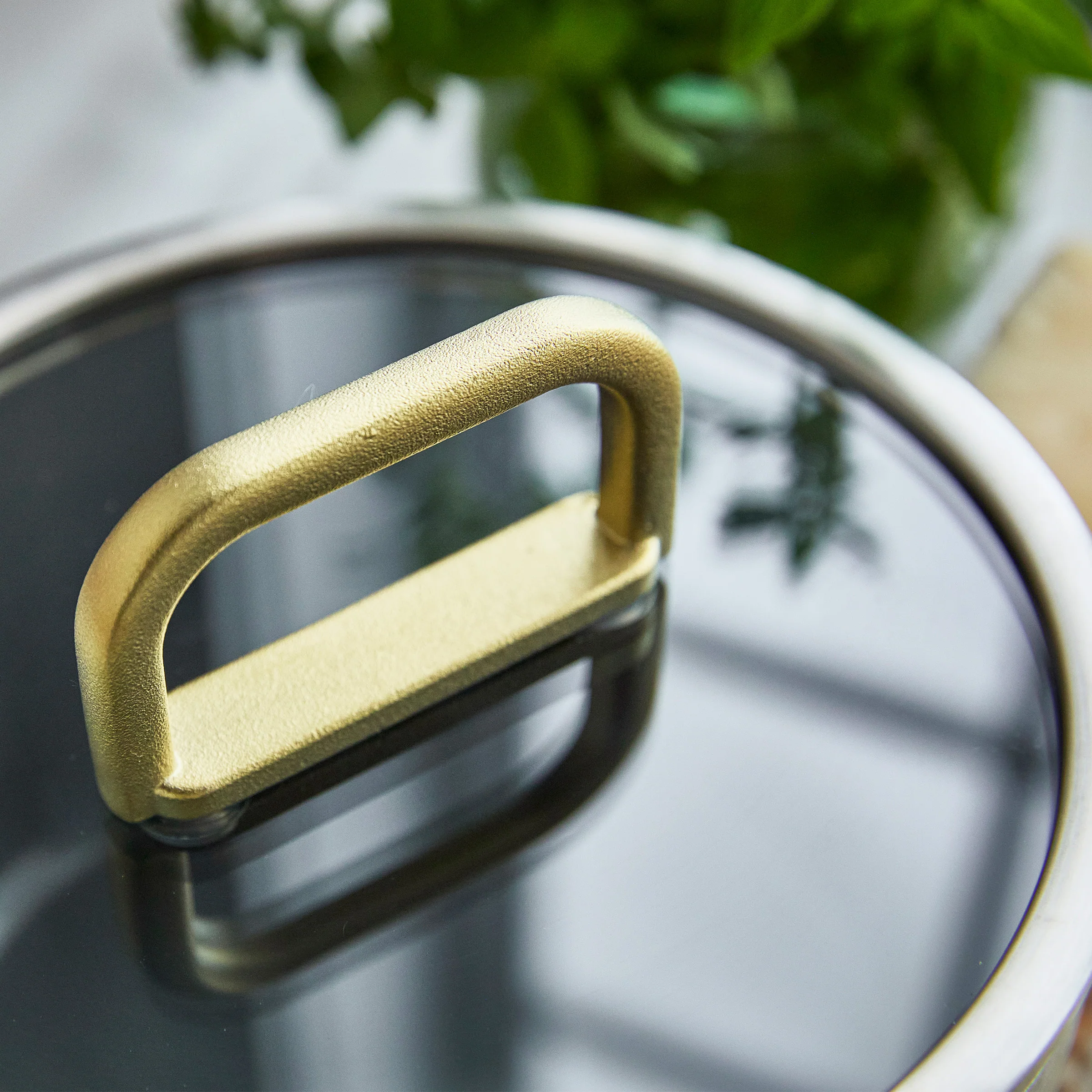 Stanley Tucci™ Stainless Steel Ceramic Nonstick 2-Quart Saucepan with Lid | Champagne Handles