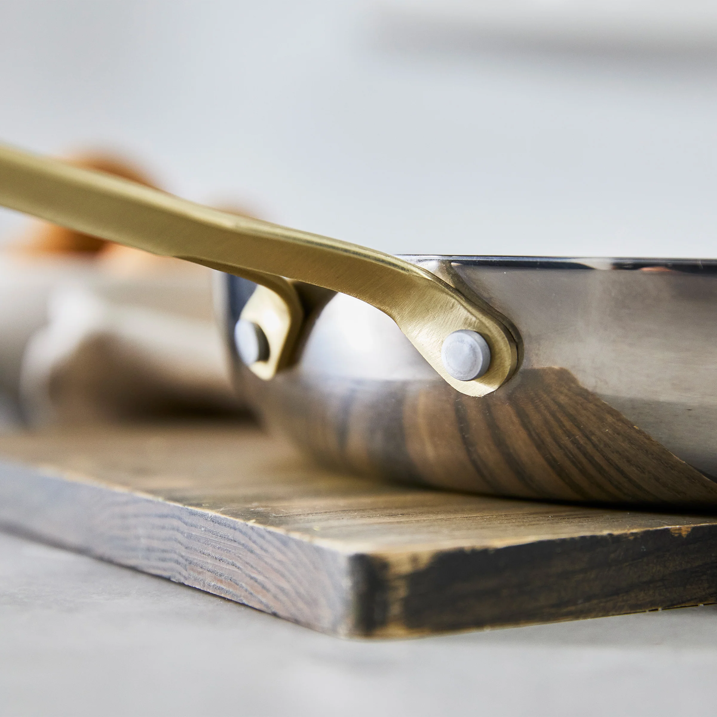 Nova Gallery Stainless Steel 10 and 12 Frypan Set