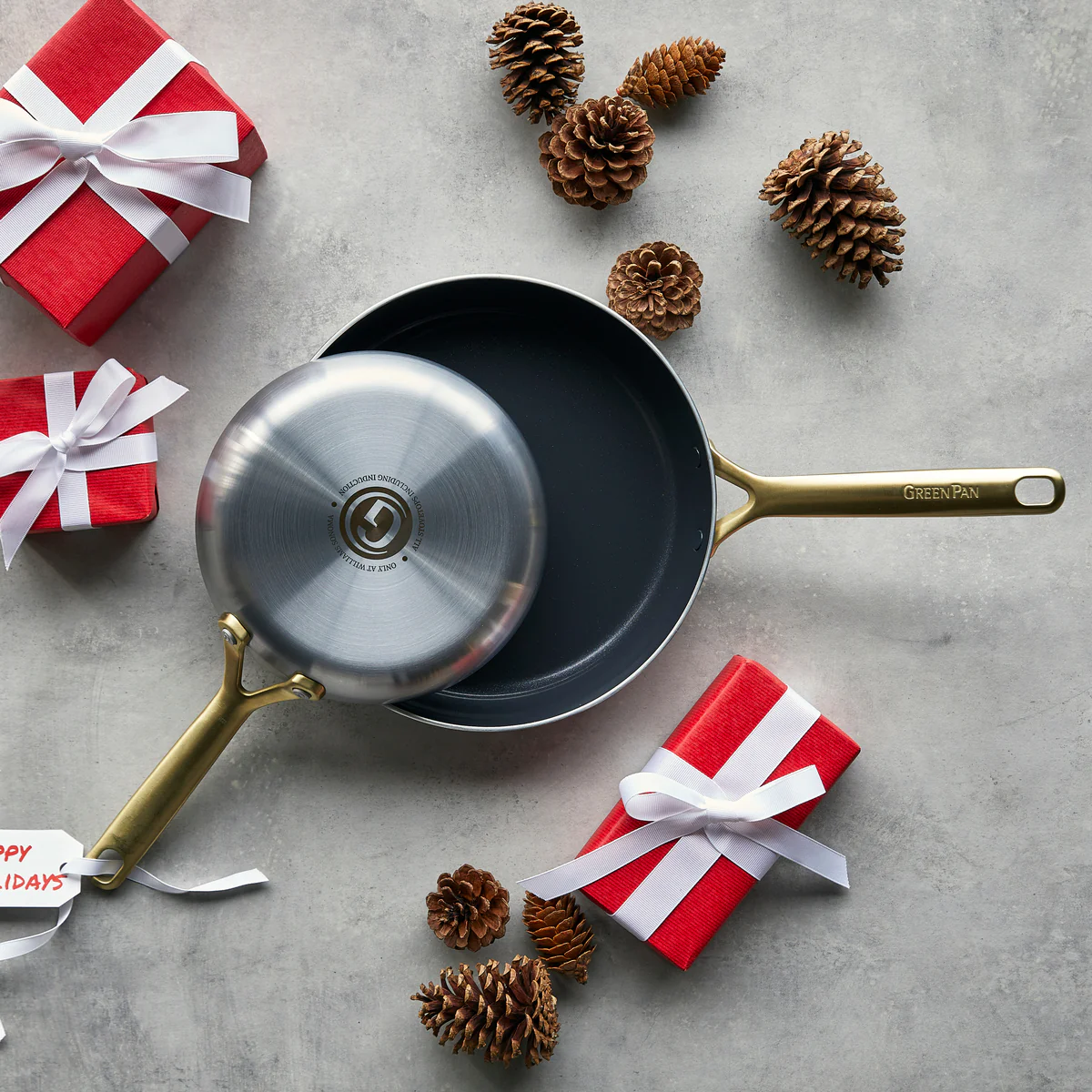 GP5 Stainless Steel 10 and 12 Frypan Set | Champagne Handles