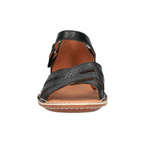 Clarks Tustin Sahara