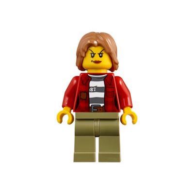 LEGO Mountain Arrest