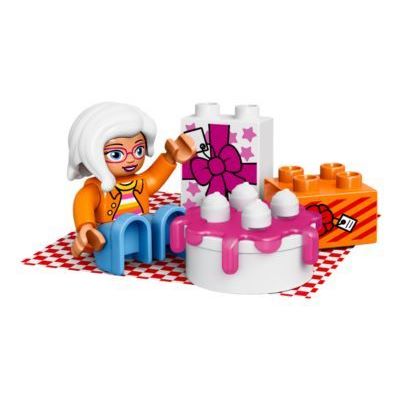 LEGO Birthday Picnic