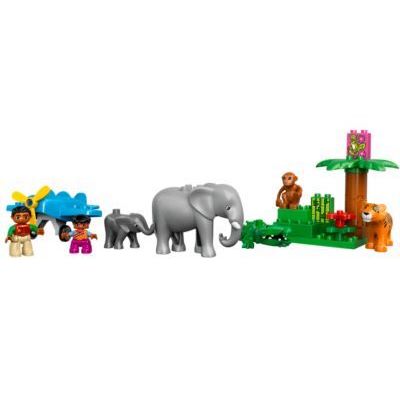 LEGO Jungle