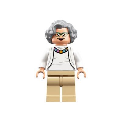 LEGO Women of NASA