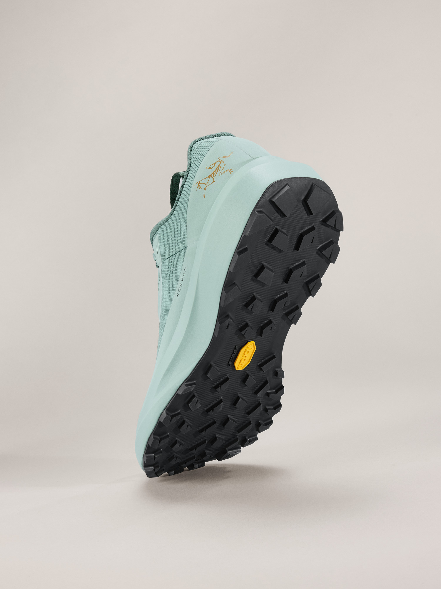 Norvan LD 4 GTX Shoe Men's