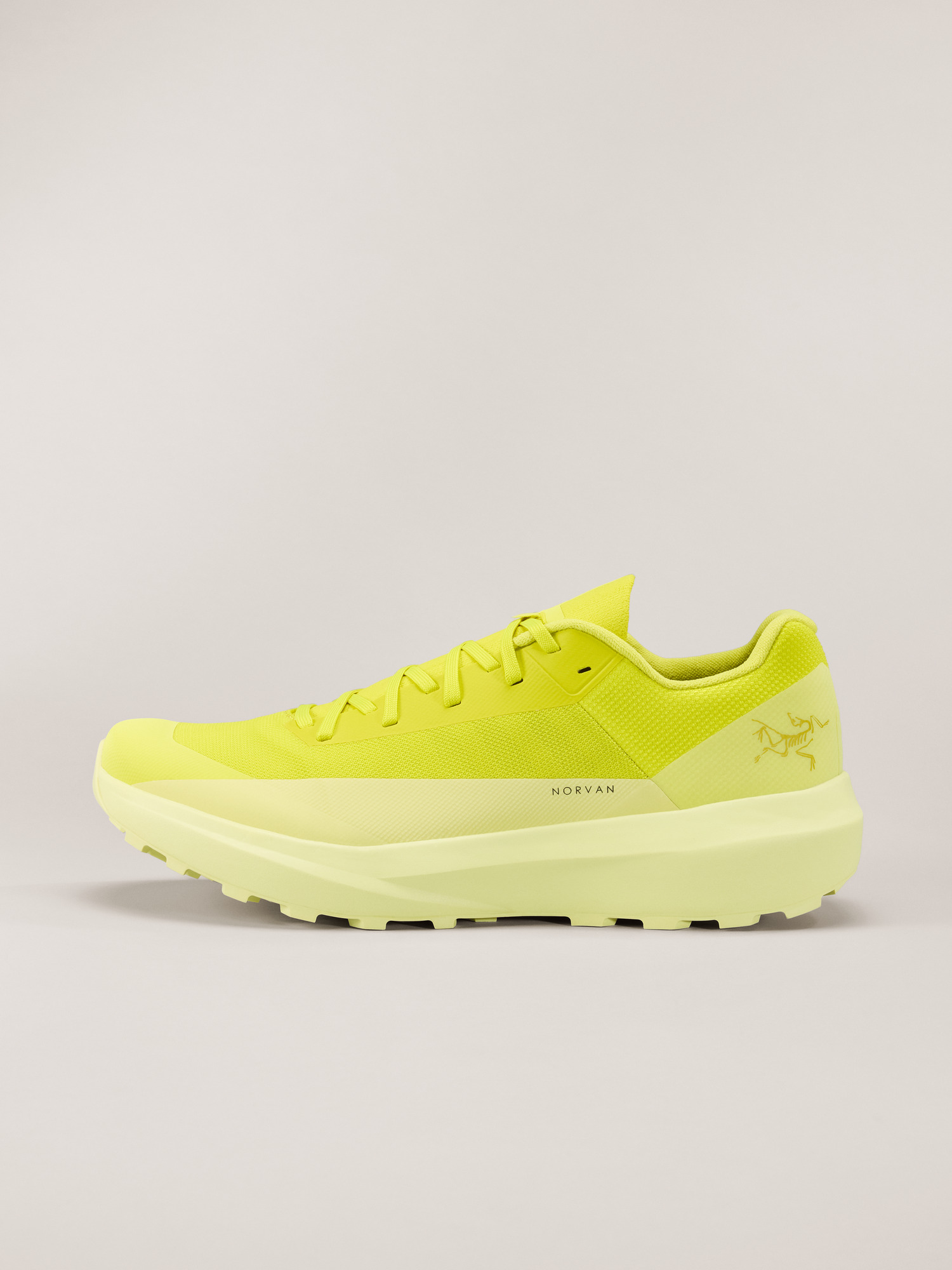 Norvan LD 4 Shoe Men's