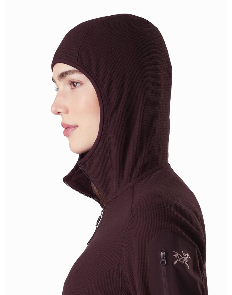 Arc'teryx Delta LT Hoodie Womens - Purple