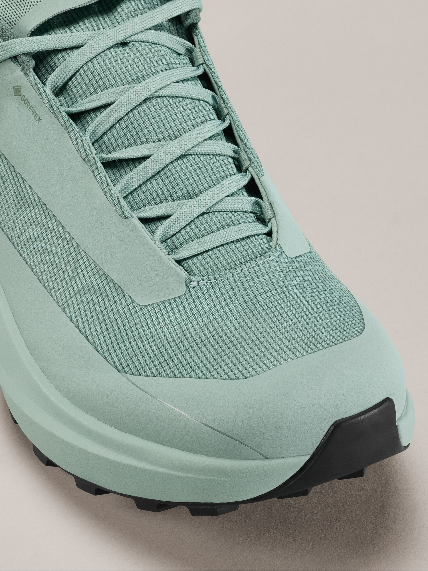 Norvan LD 4 GTX Shoe Men's