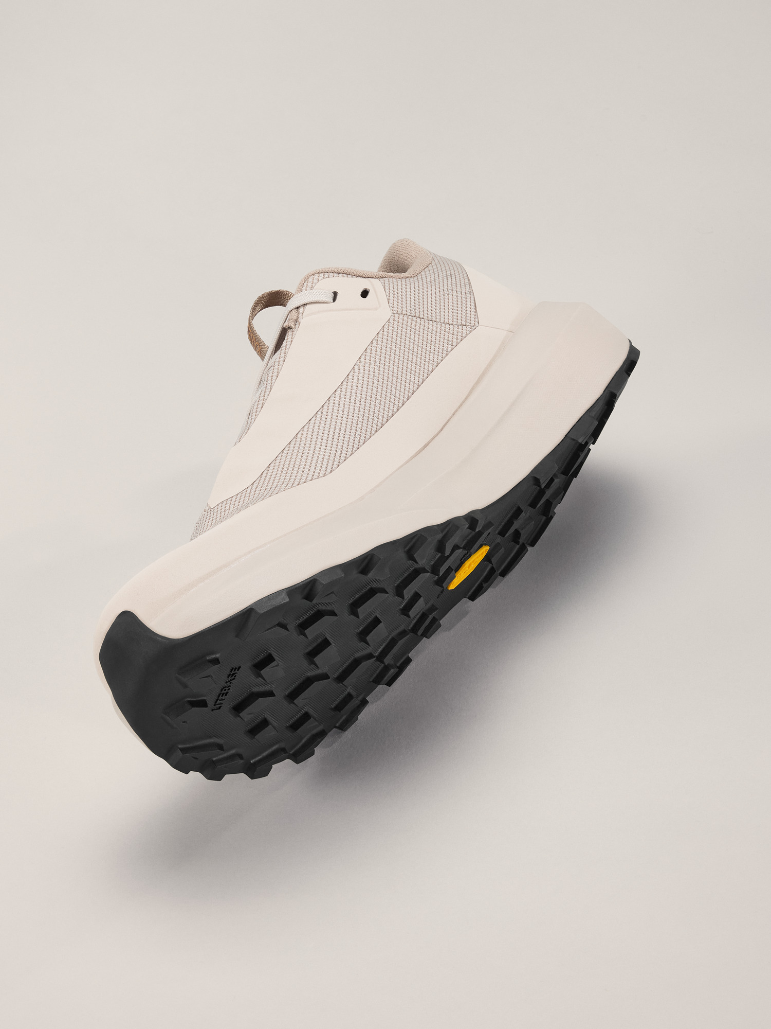 Norvan LD 4 GTX Shoe Men's