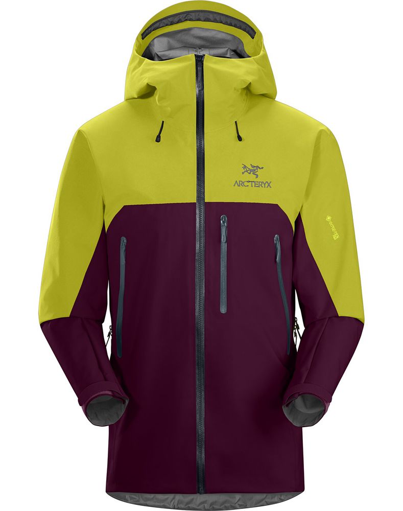 Arc'teryx Beta SV ReBird Jacket Mens - Purple