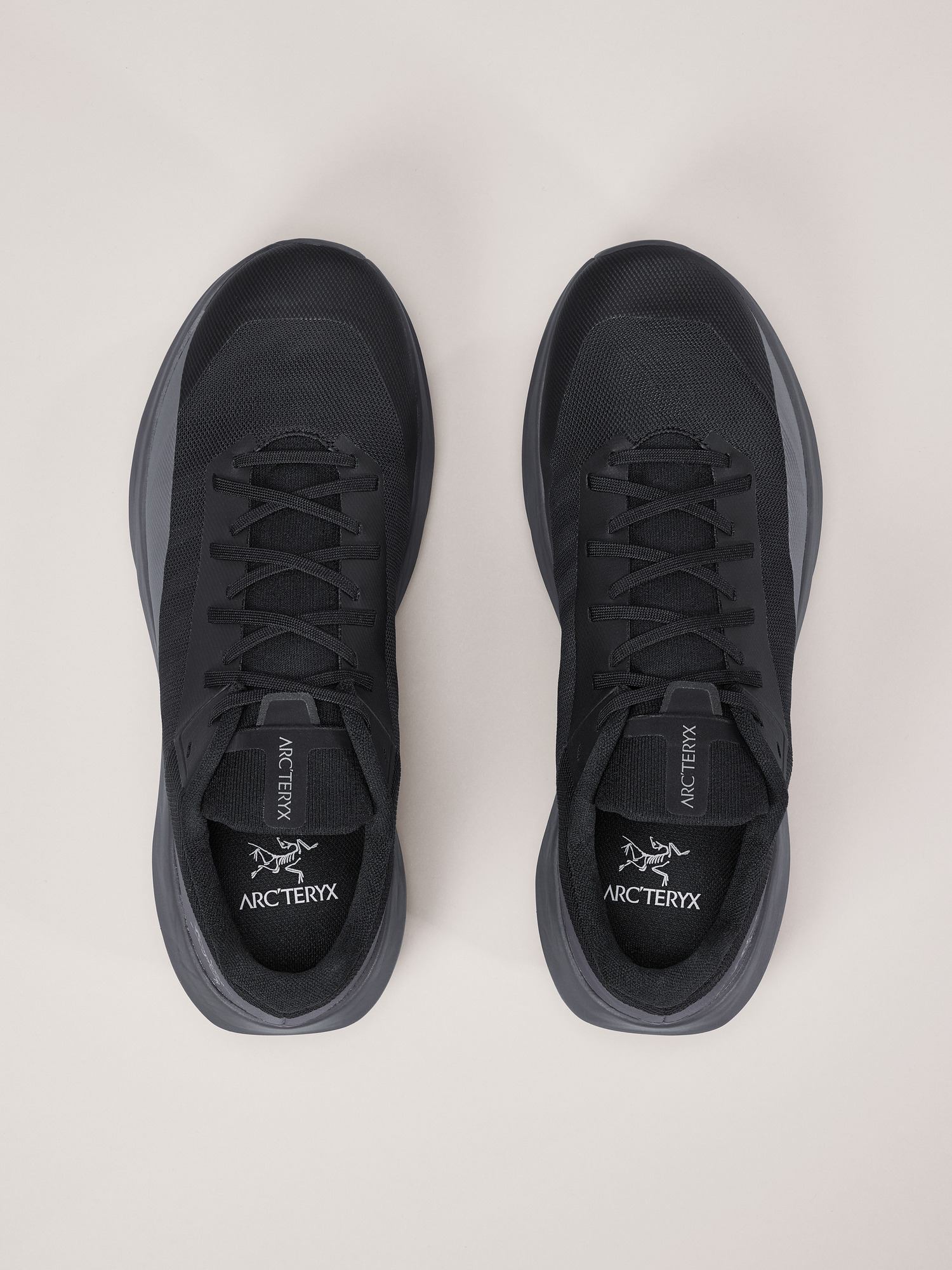 Norvan LD 4 Shoe Men's