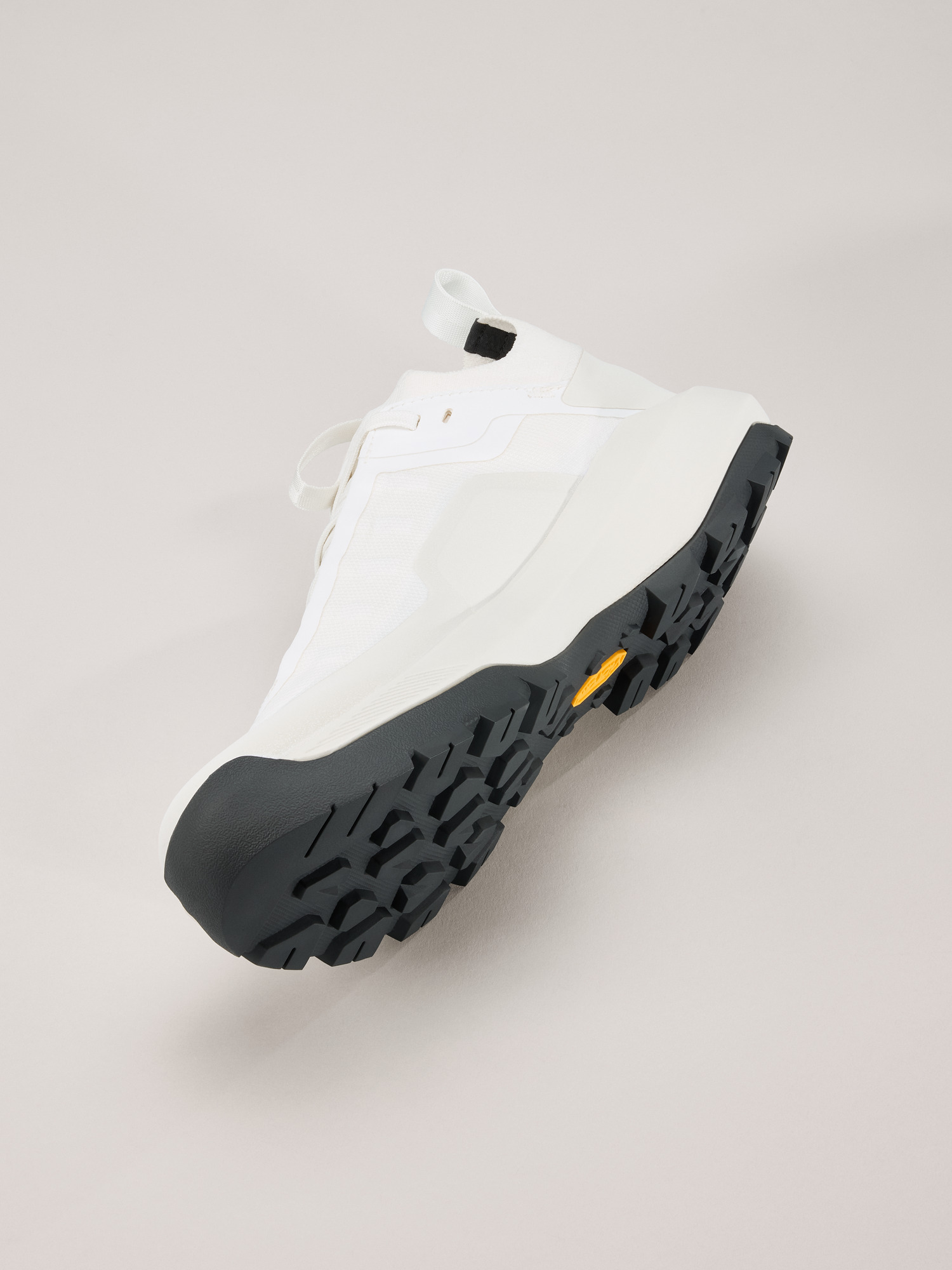 Vertex Alpine GTX Shoe Women's