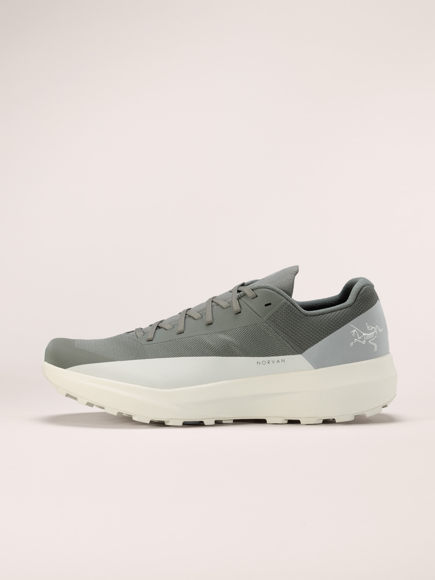 Norvan LD 4 Shoe Men's
