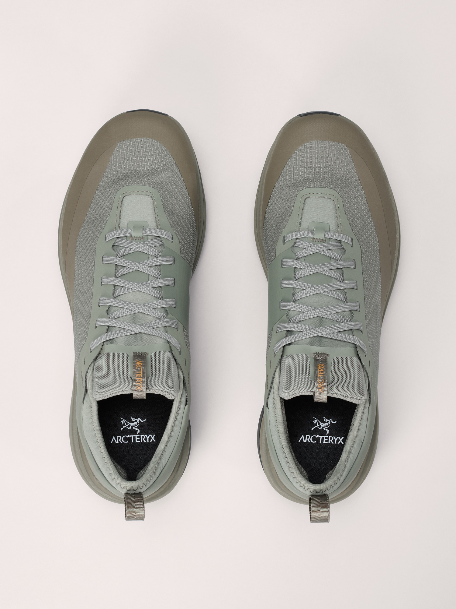 Sylan GTX Shoe Men's