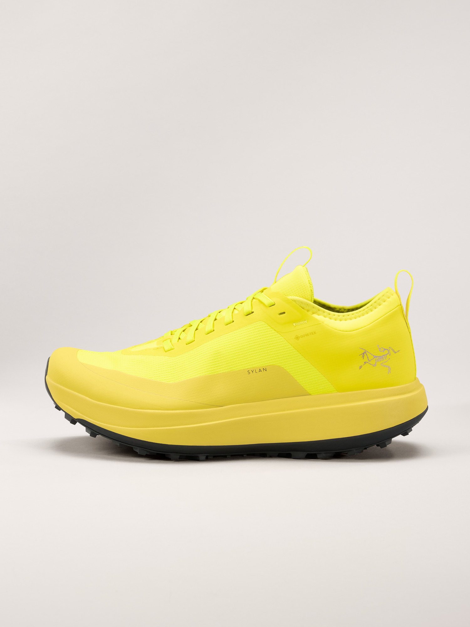 Sylan GTX Shoe Men's