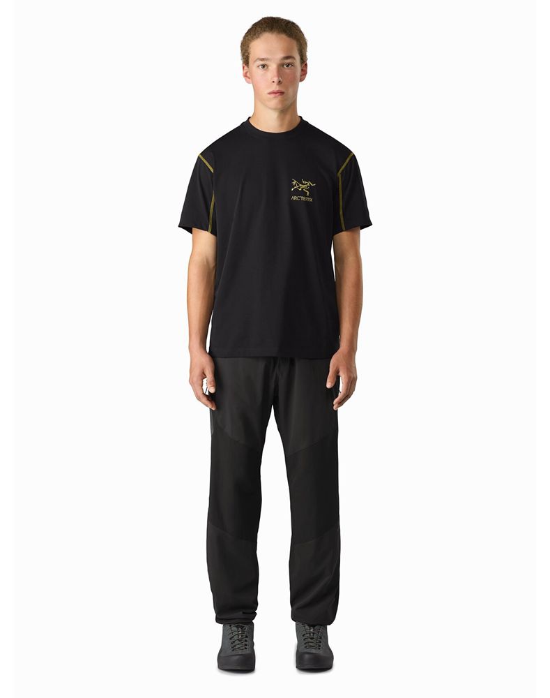 Arc'teryx Paltz Cargo Pants Mens - Black