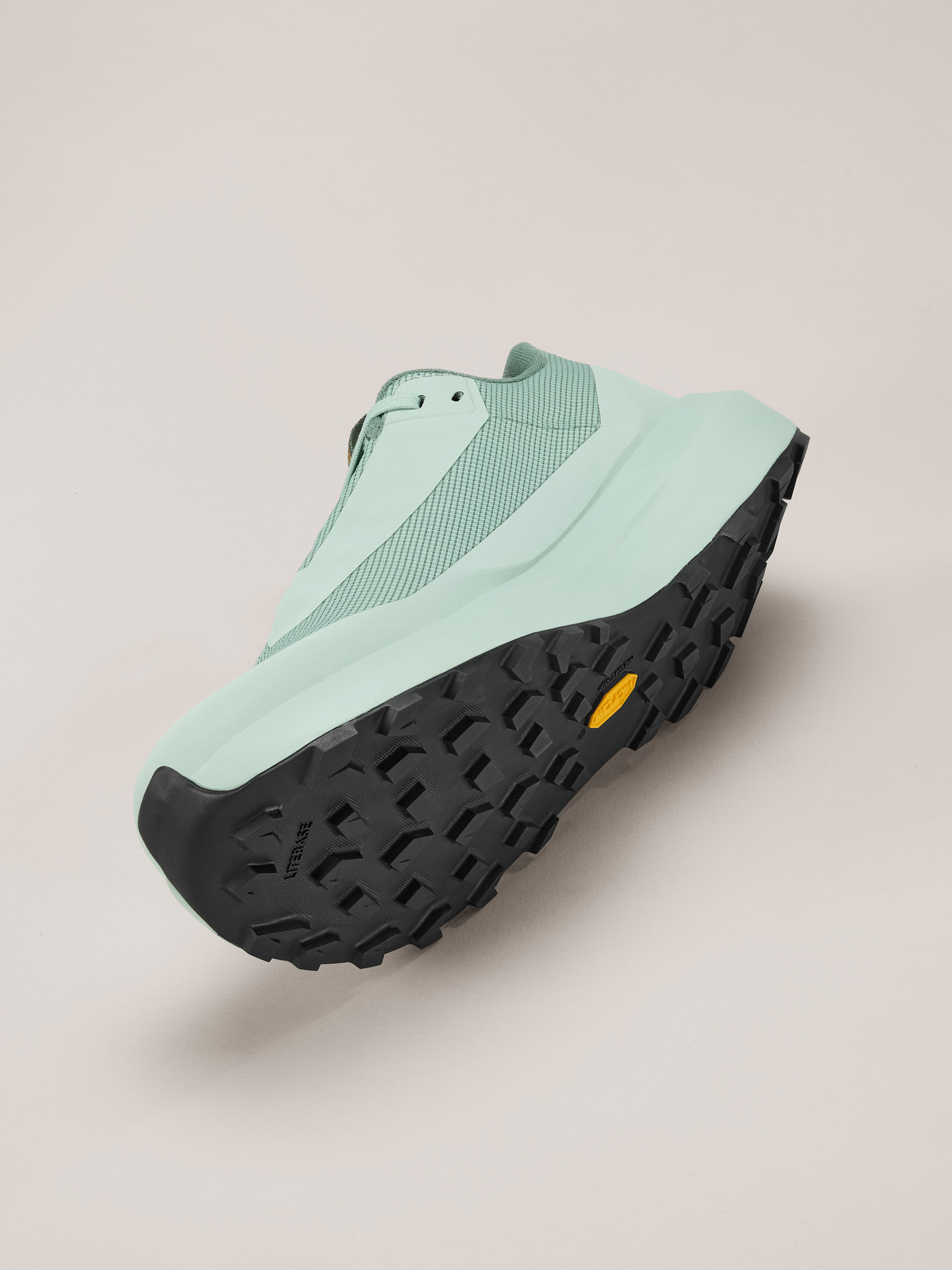 Norvan LD 4 GTX Shoe Men's