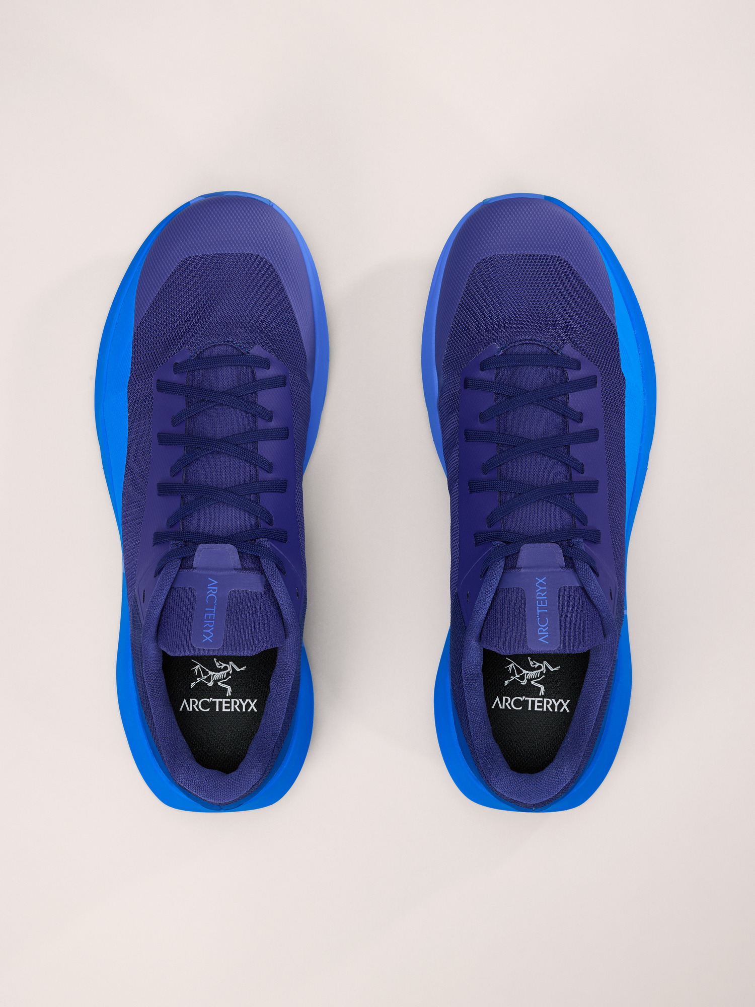 Norvan LD 4 Shoe Men's