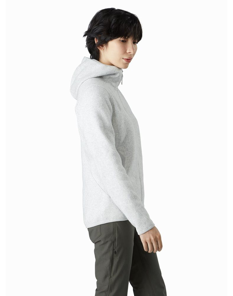 Arc'teryx Covert Hoodie Womens - Grey