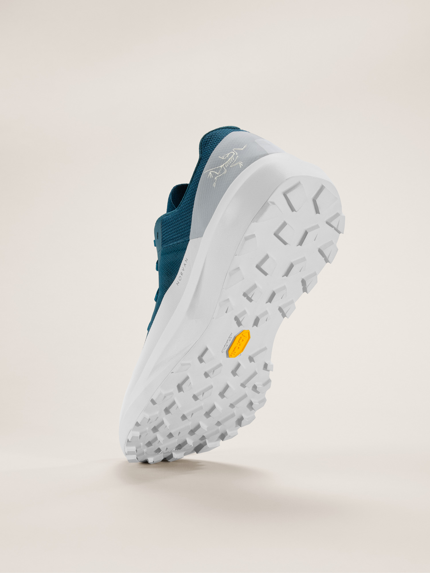 Norvan LD 4 Shoe Men's