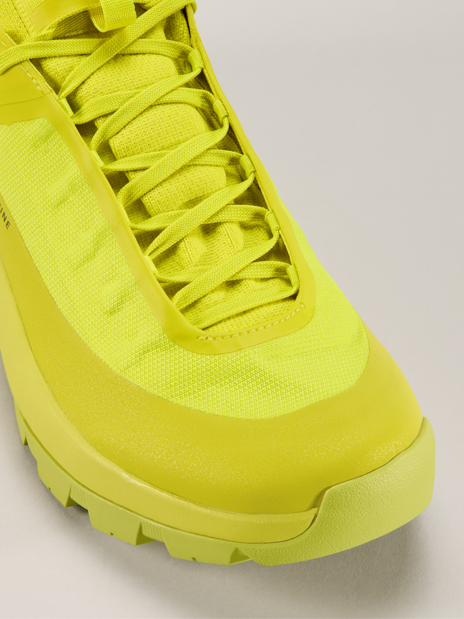 Vertex Alpine GTX Shoe Men's