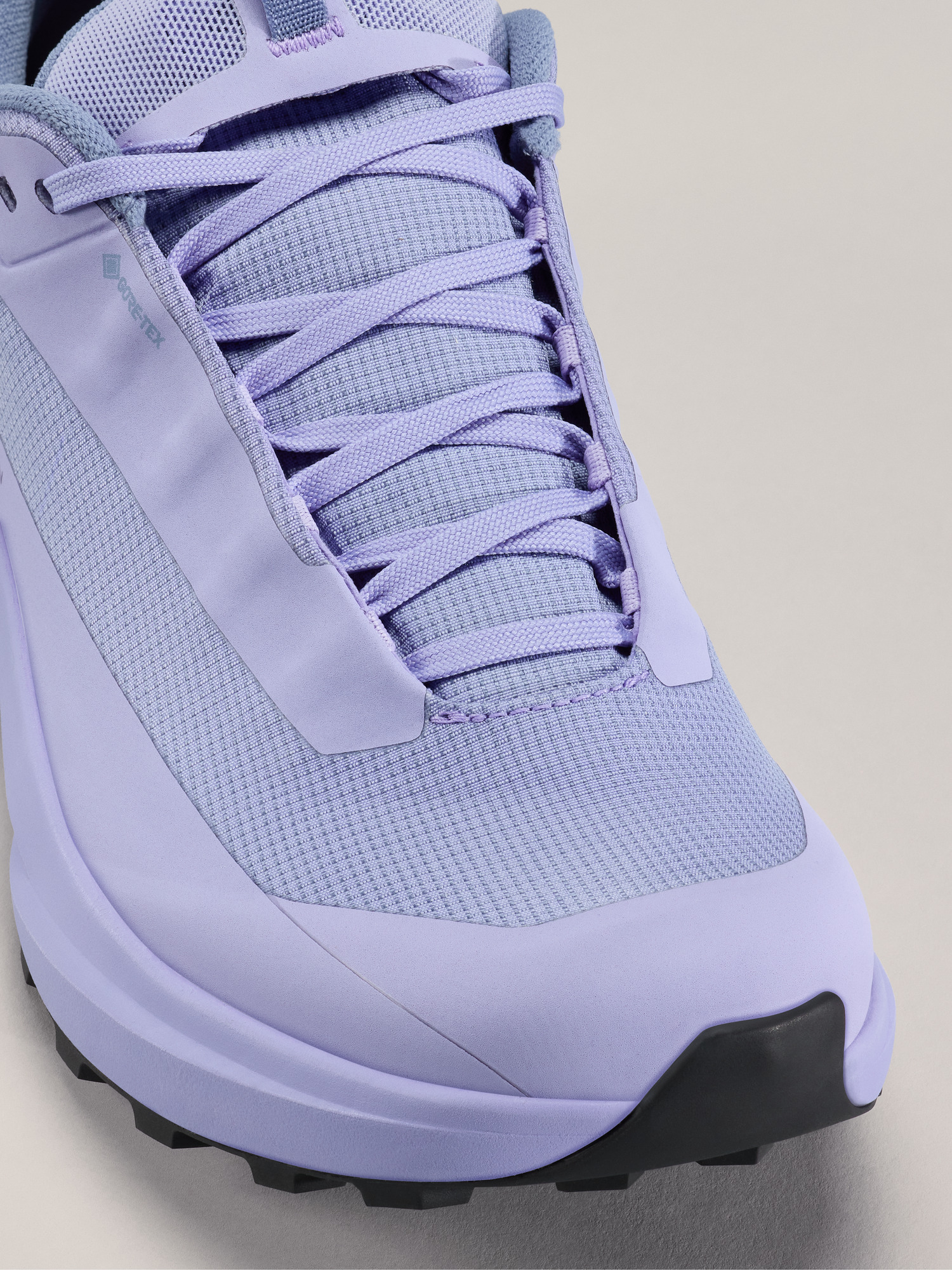 Norvan LD 4 GTX Shoe Women's