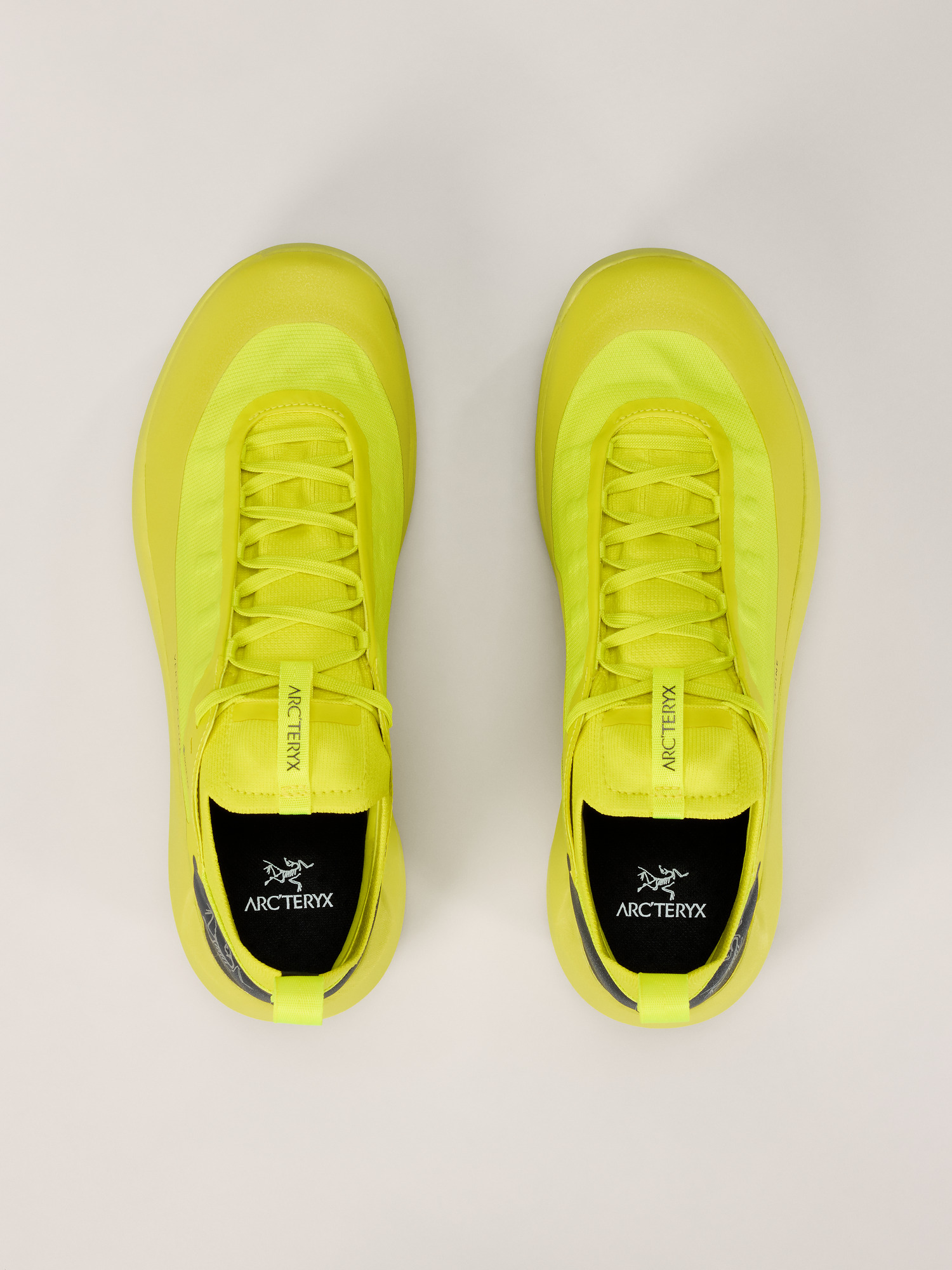 Vertex Alpine GTX Shoe Men's