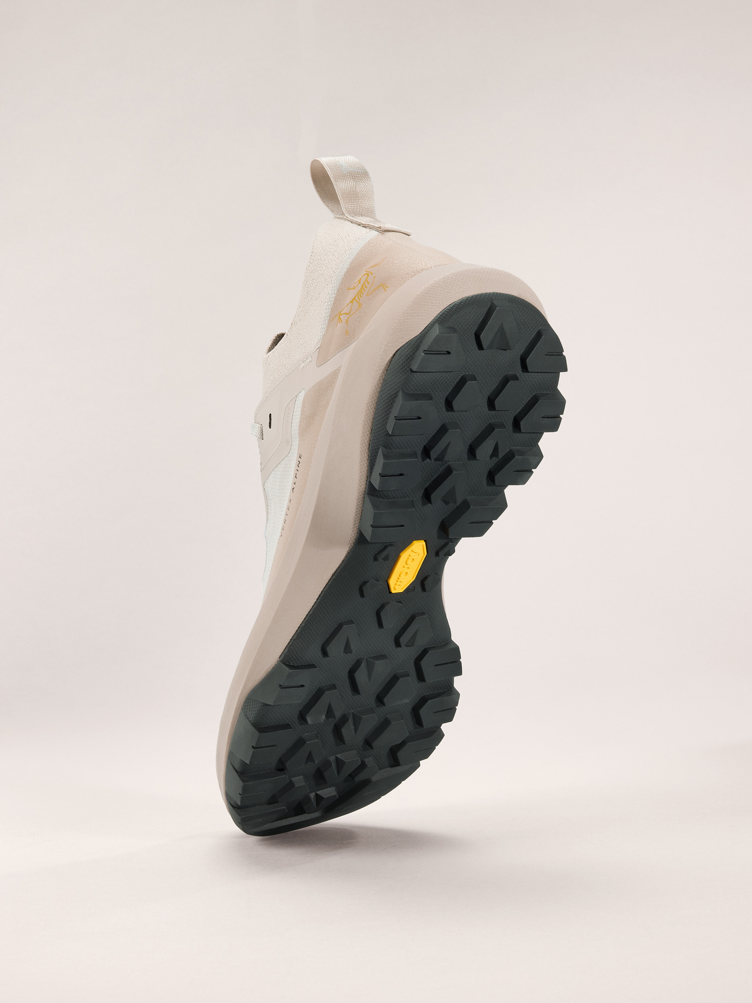 Vertex Alpine GTX Shoe Men's