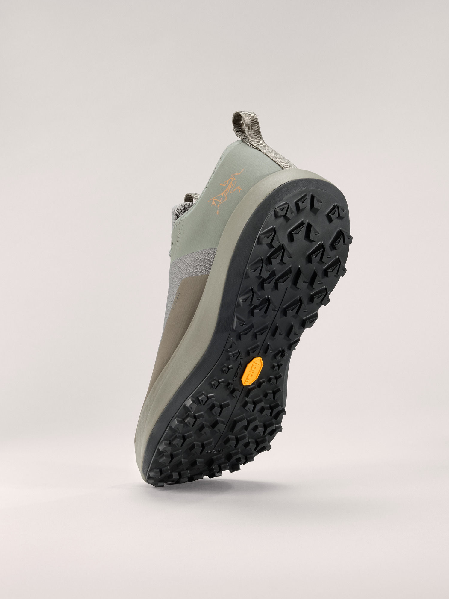 Sylan GTX Shoe Men's