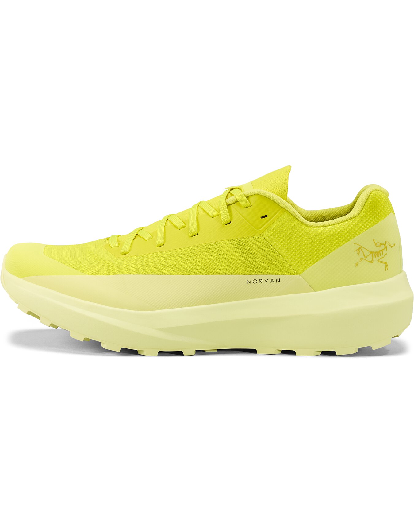 Norvan LD 4 Shoe Men's