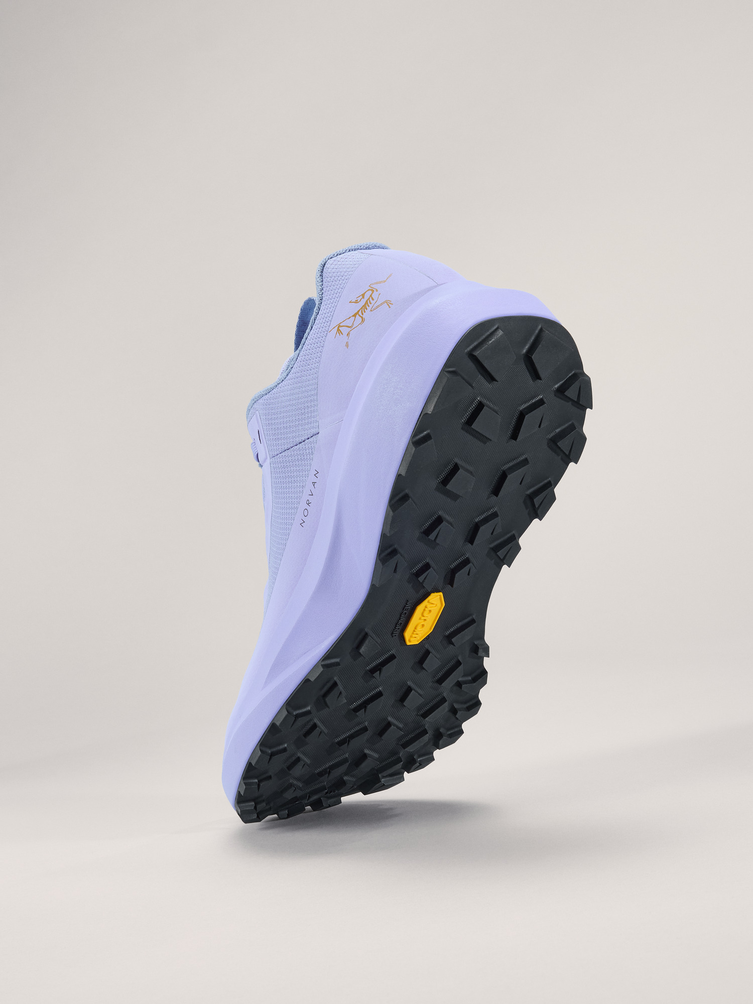 Norvan LD 4 GTX Shoe Women's