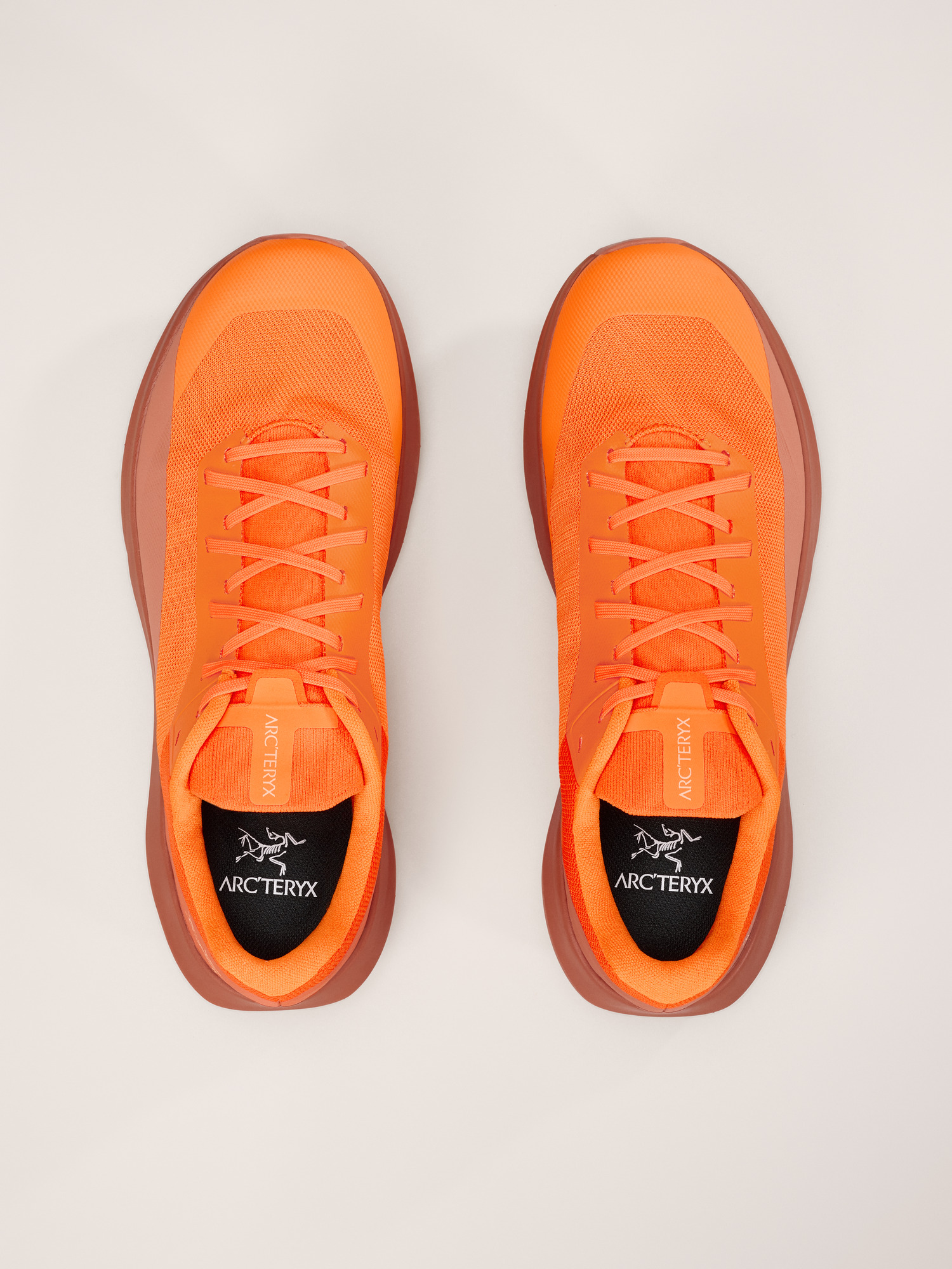 Norvan LD 4 Shoe Men's