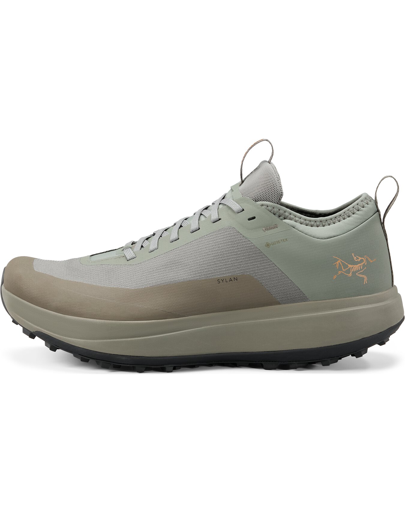 Sylan GTX Shoe Men's