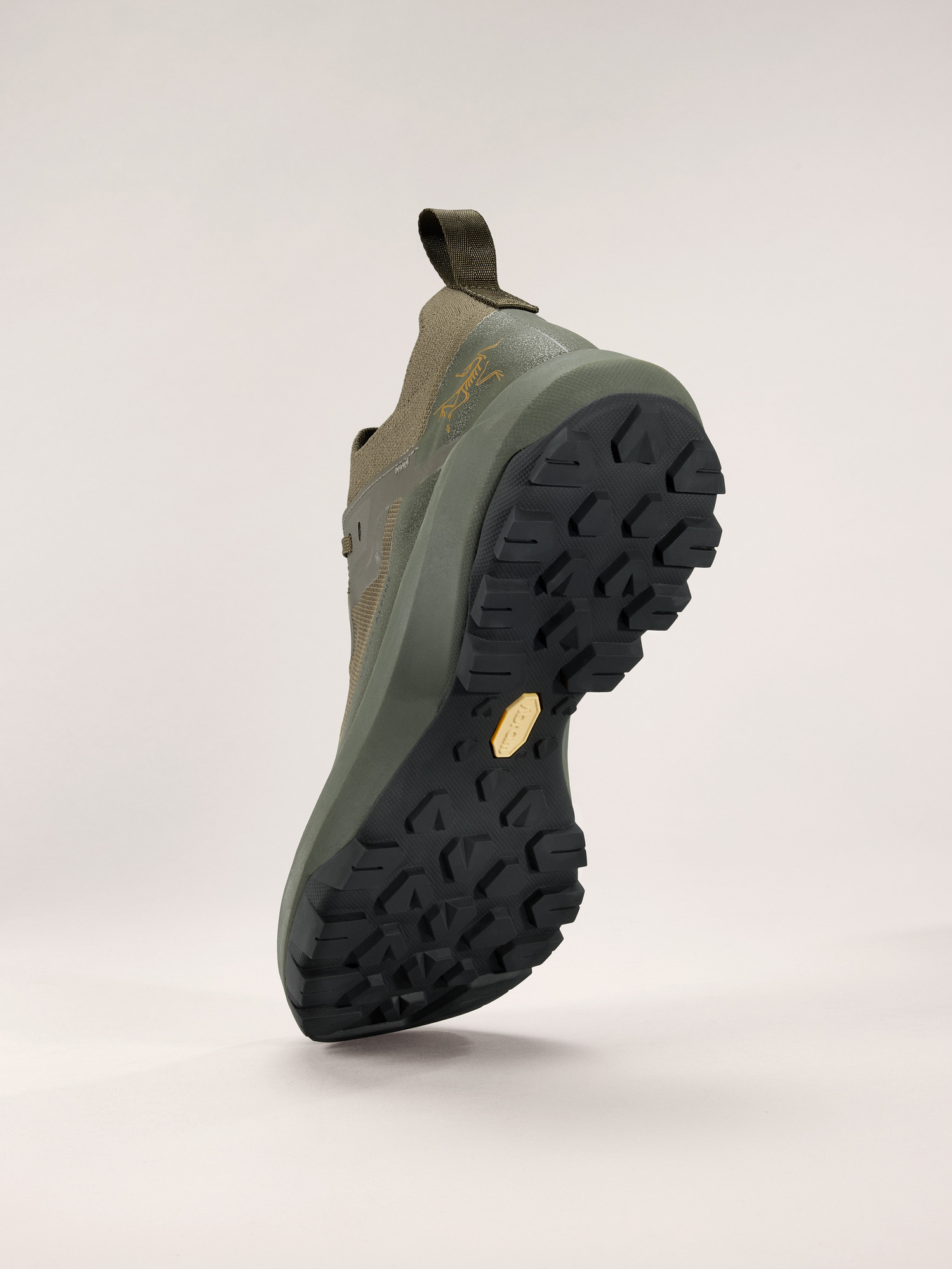 Vertex Alpine GTX Shoe Men's