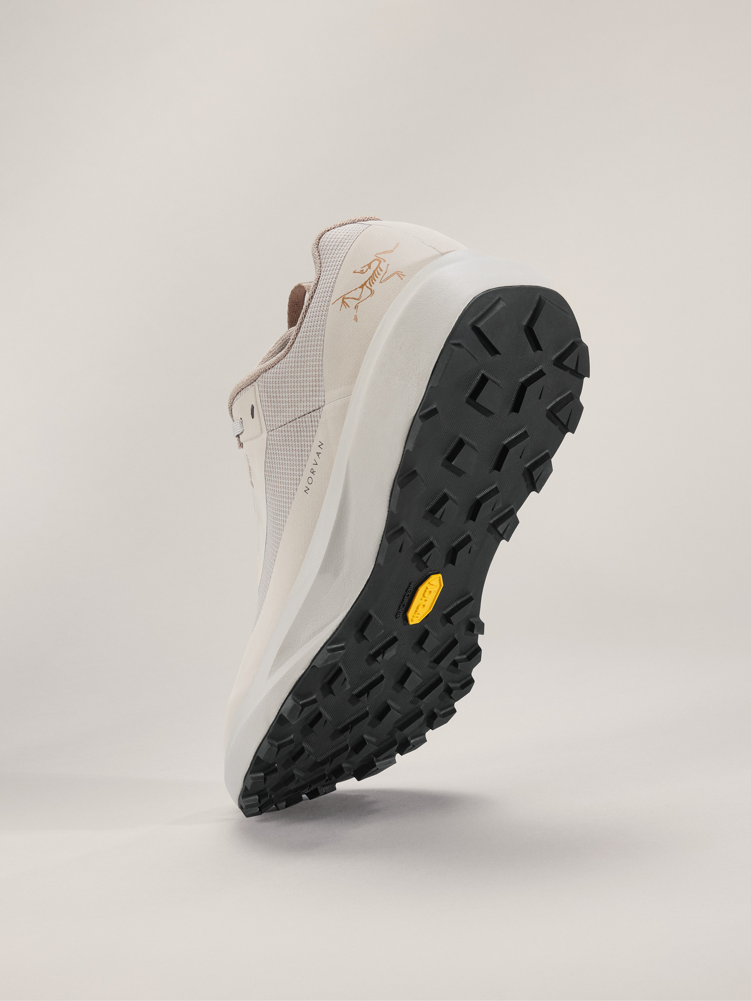 Norvan LD 4 GTX Shoe Men's