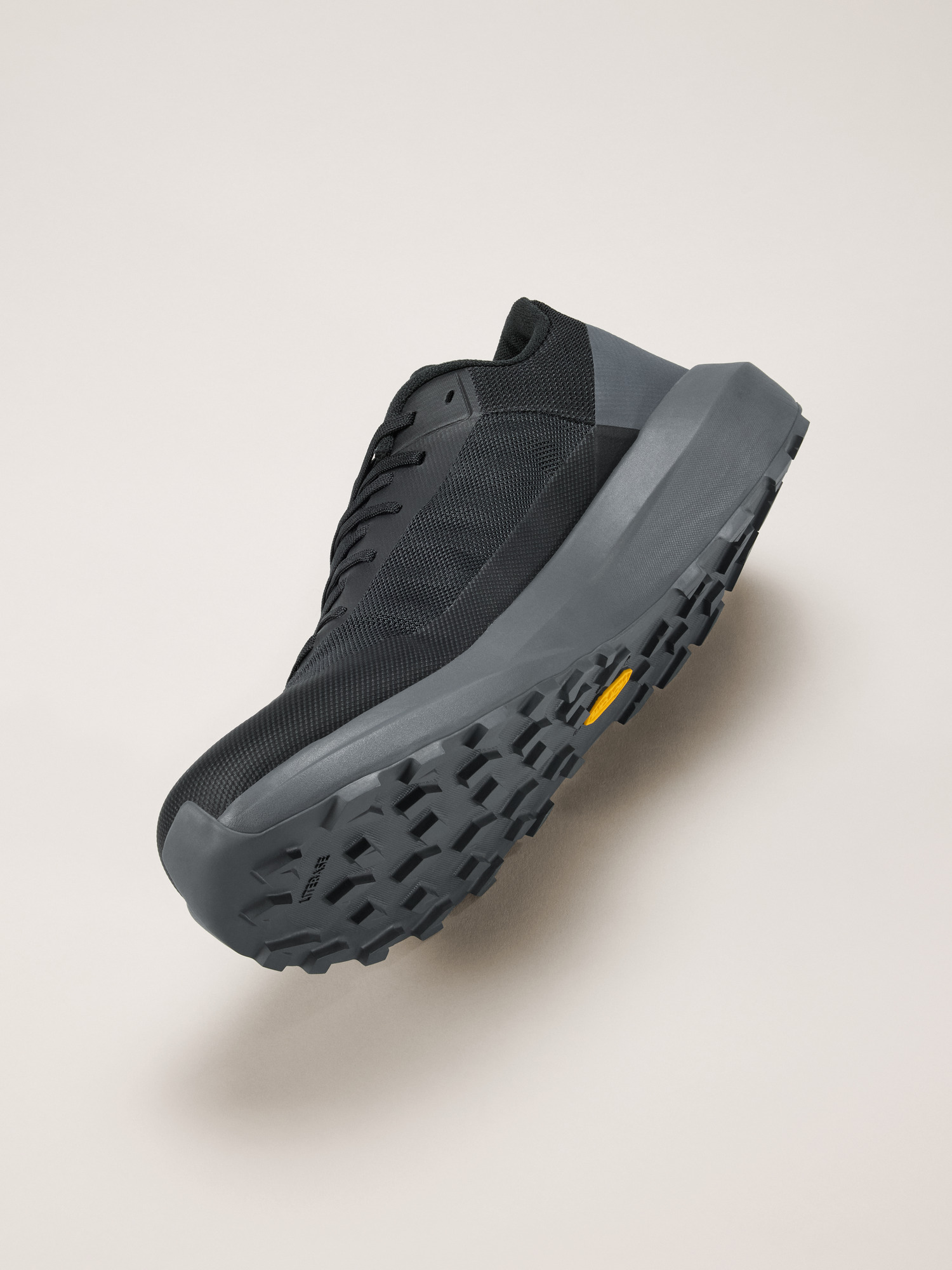 Norvan LD 4 Shoe Men's