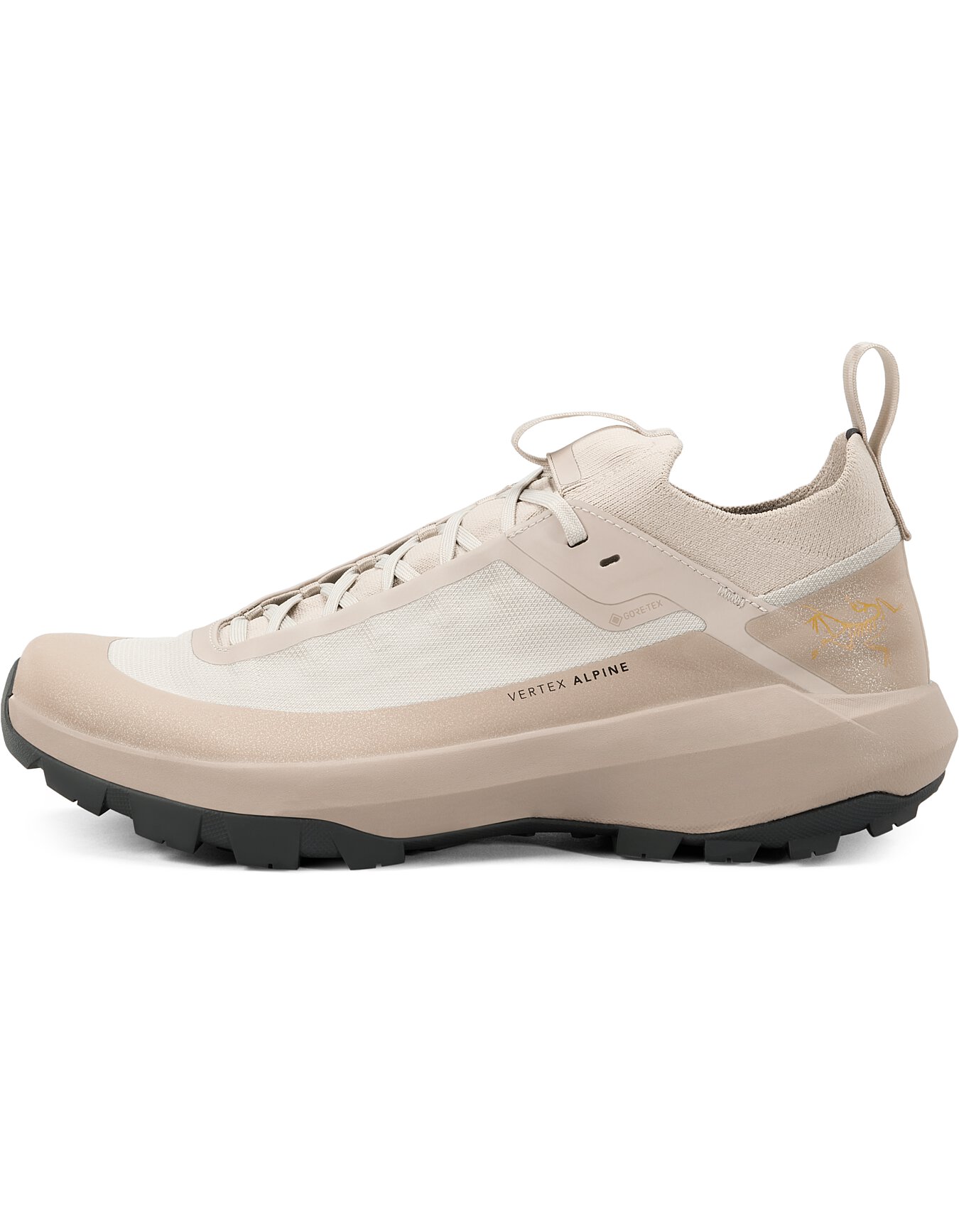 Vertex Alpine GTX Shoe Men's