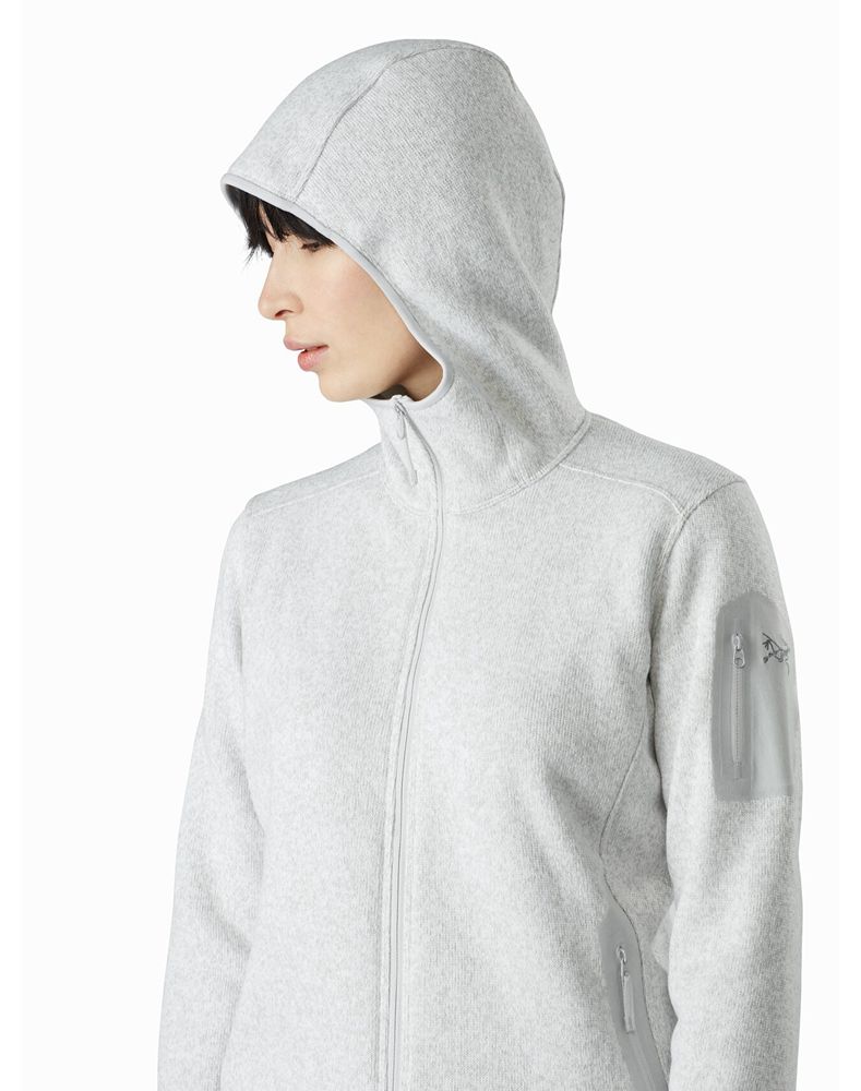 Arc'teryx Covert Hoodie Womens - Grey