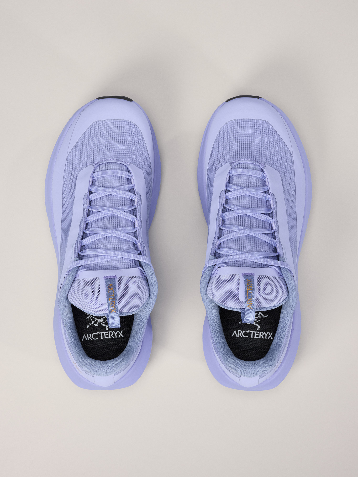 Norvan LD 4 GTX Shoe Women's