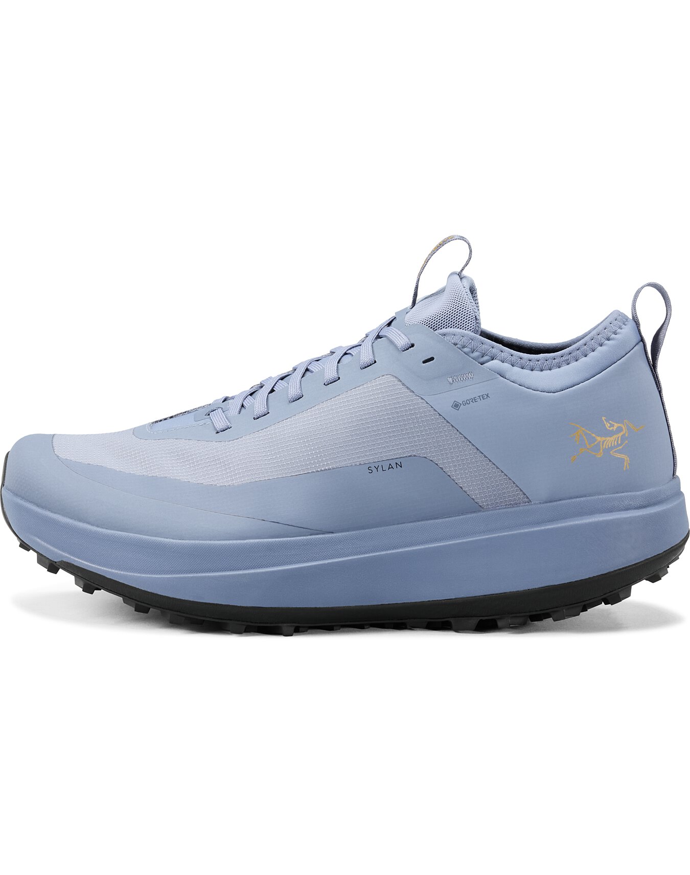 Sylan GTX Shoe Men's