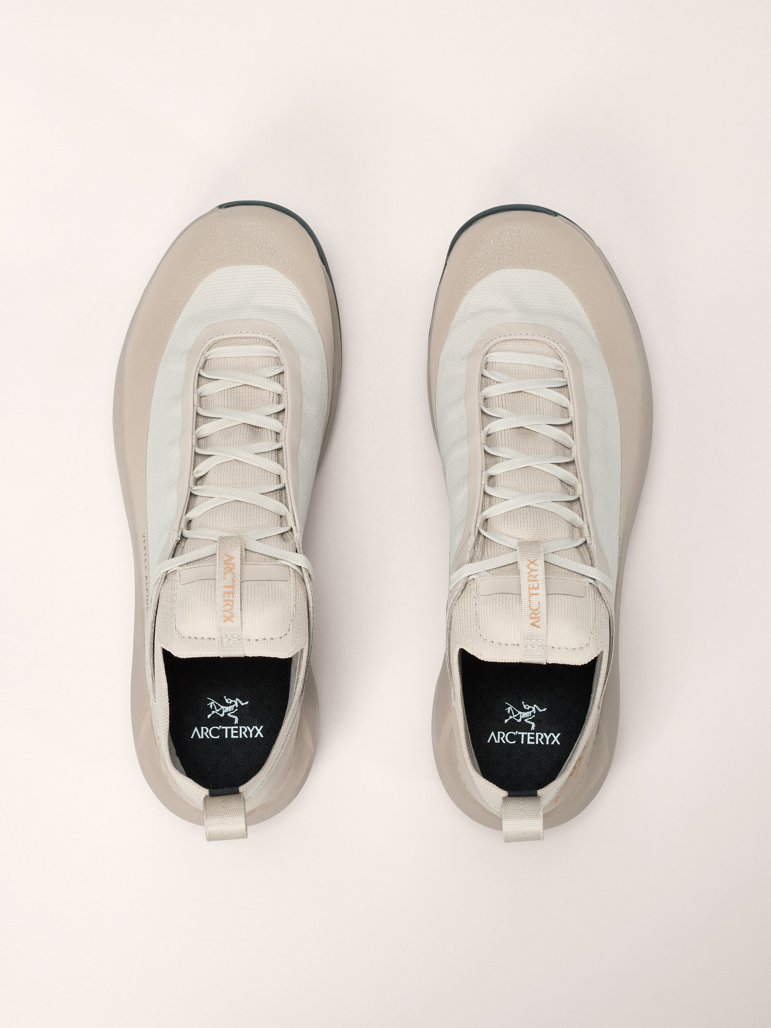 Vertex Alpine GTX Shoe Men's