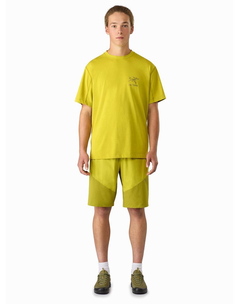 Arc'teryx Paltz Shorts Mens - Yellow