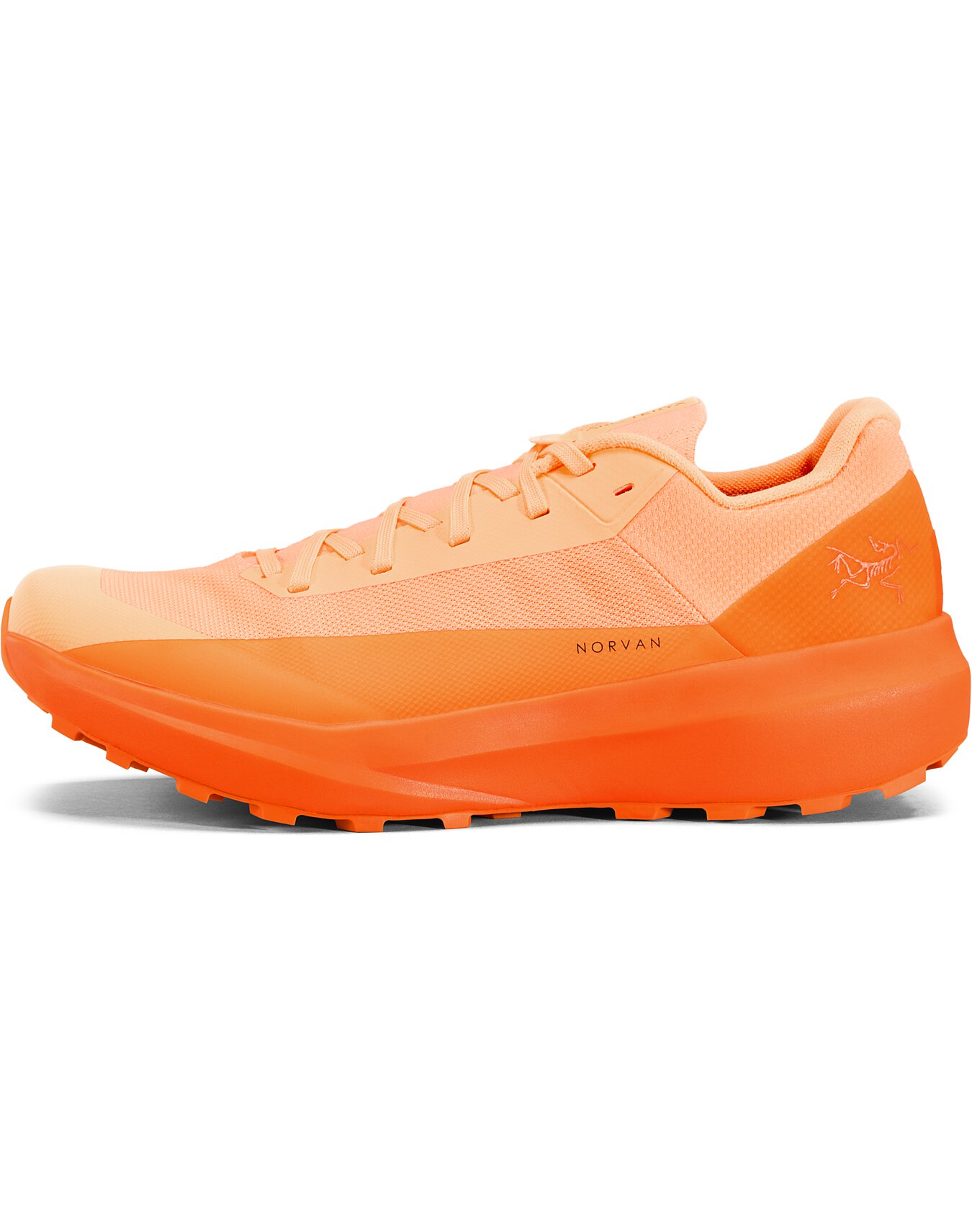 Norvan LD 4 Shoe Women's