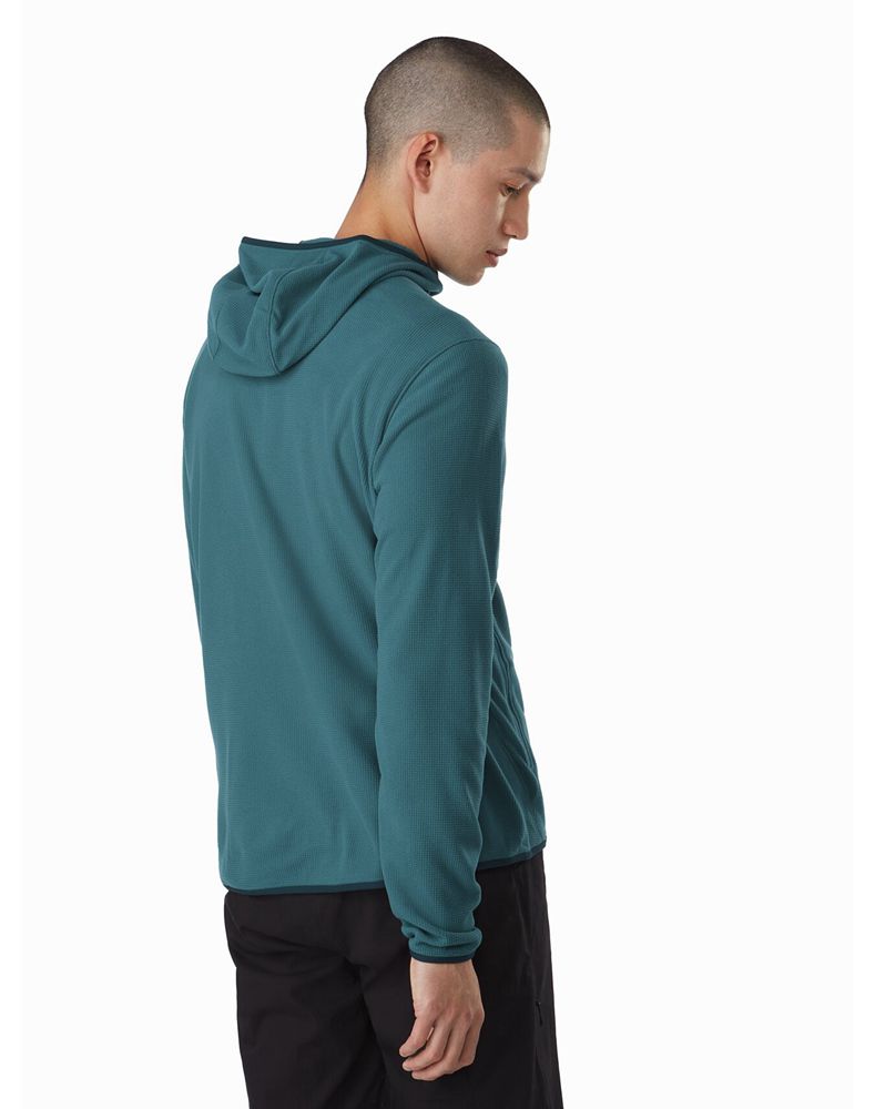 Arc'teryx Delta LT Hoodie Mens - Green