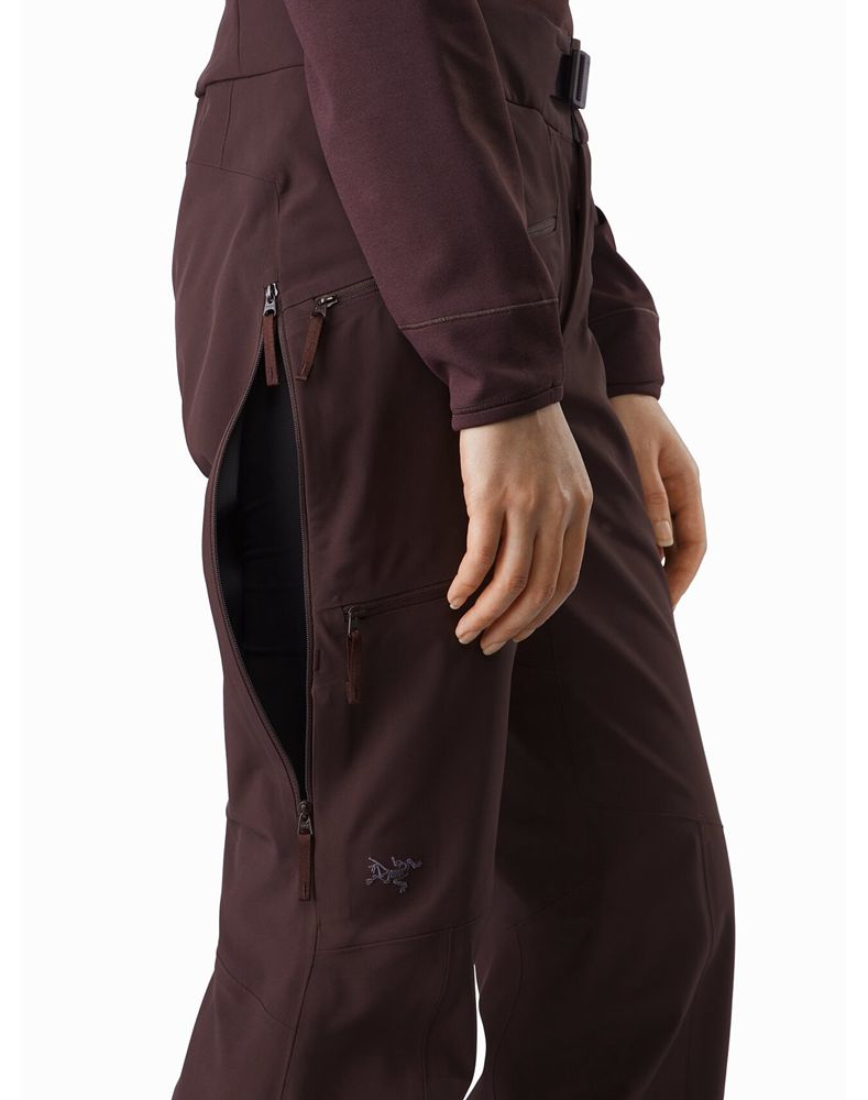 Arc'teryx Shashka Stretch Pants Womens - Purple